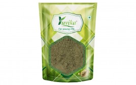 Yuvika Podina Powder Mint Leaves  Pack  100 grams